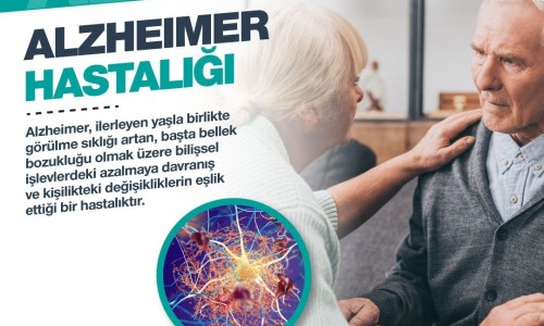 Alzheimer Hastalığı
